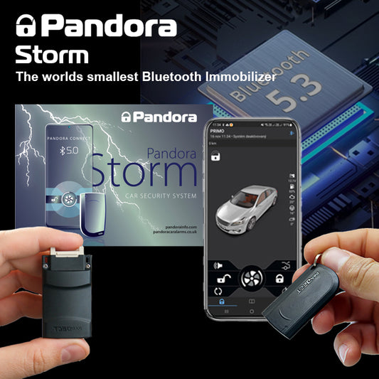 Storm Immobilizer
